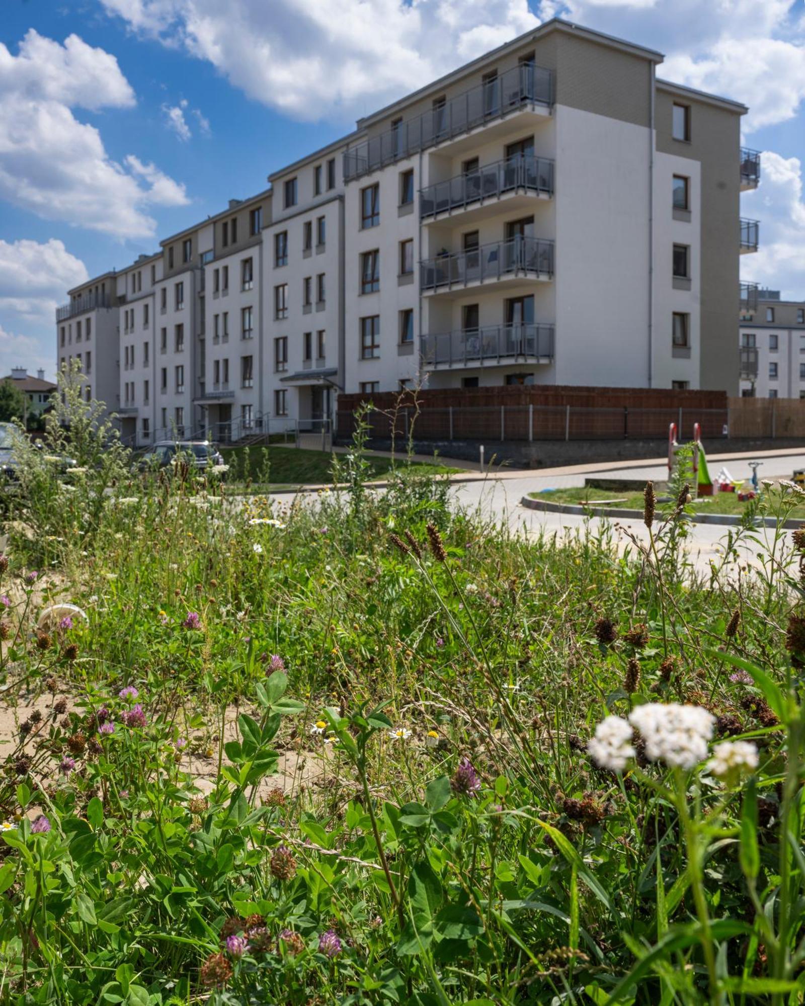 Apartament Wanessa Гданьск Экстерьер фото
